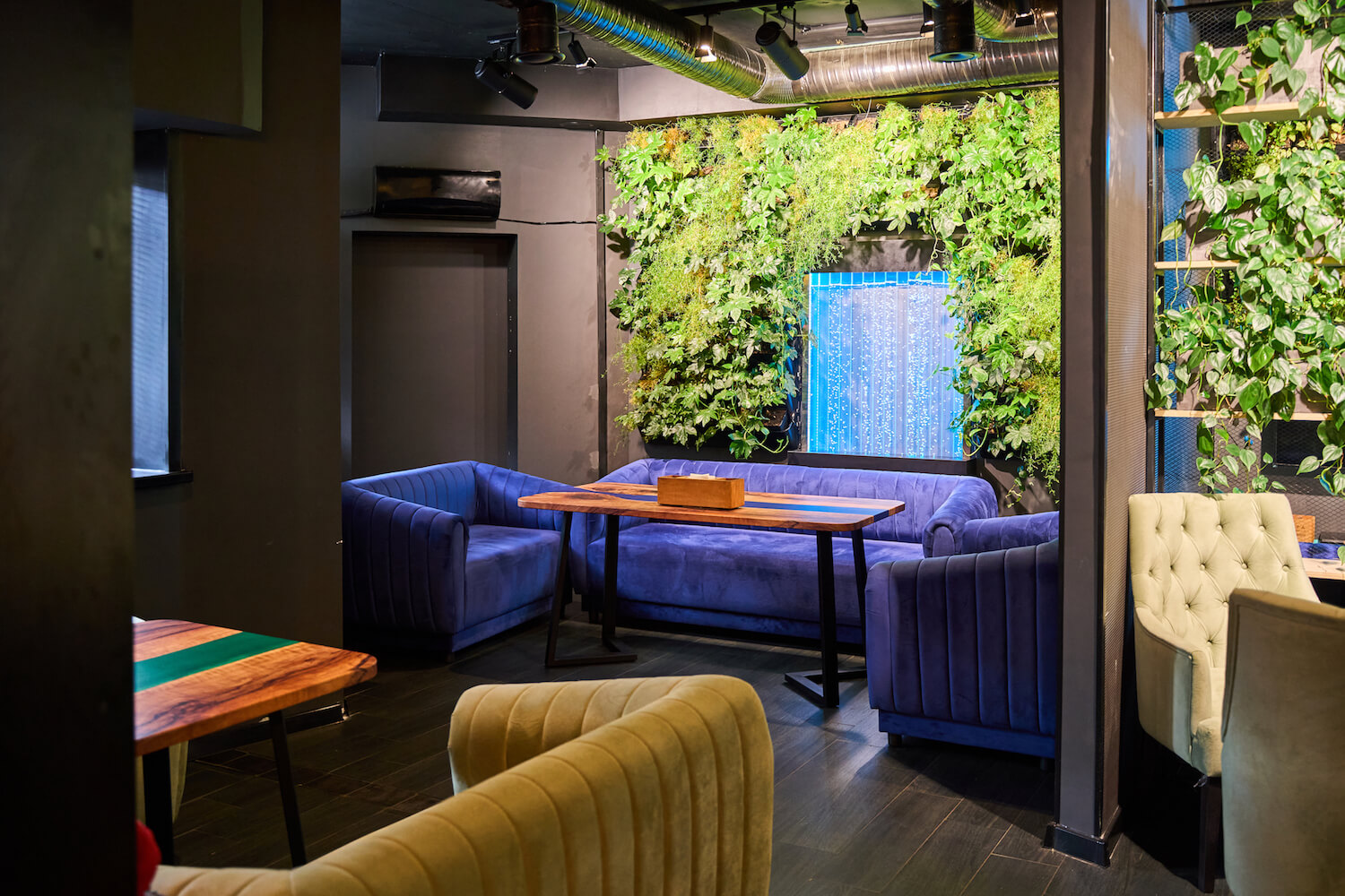 Фото заведения