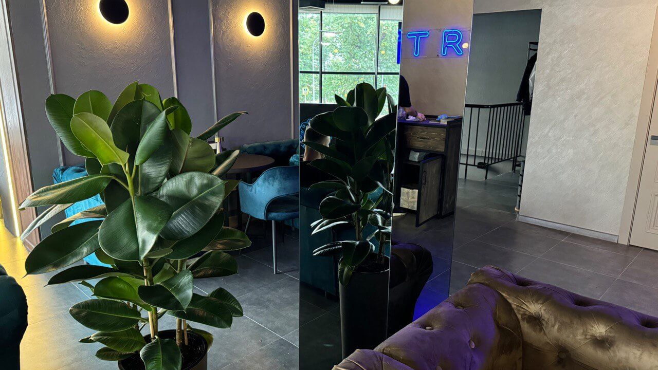 Фото заведения