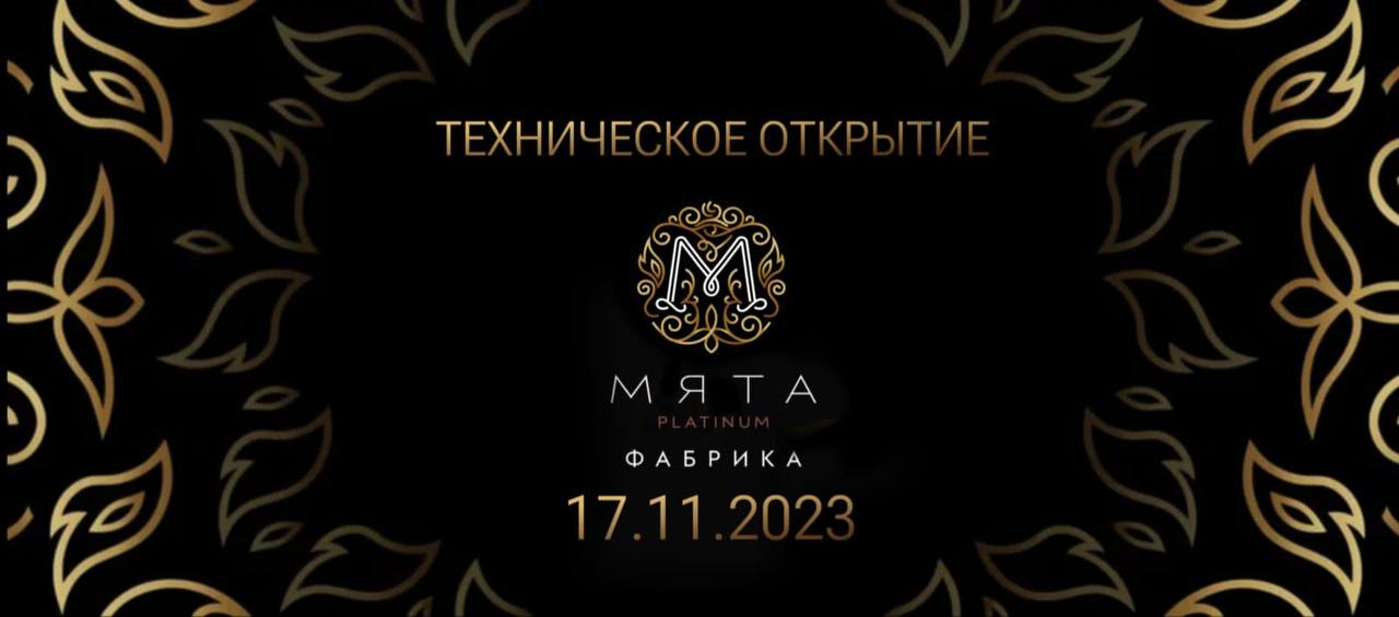 Техническое открытие Мята Platinum Фабрика