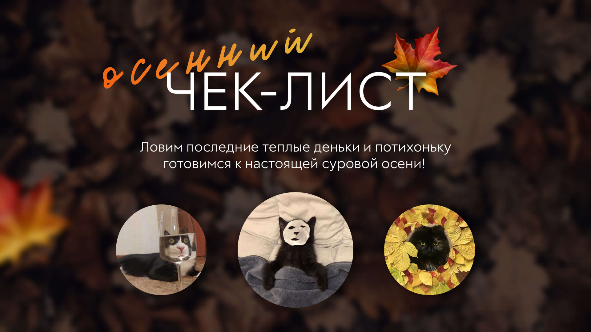 Осенний чек-лист от Мяты!