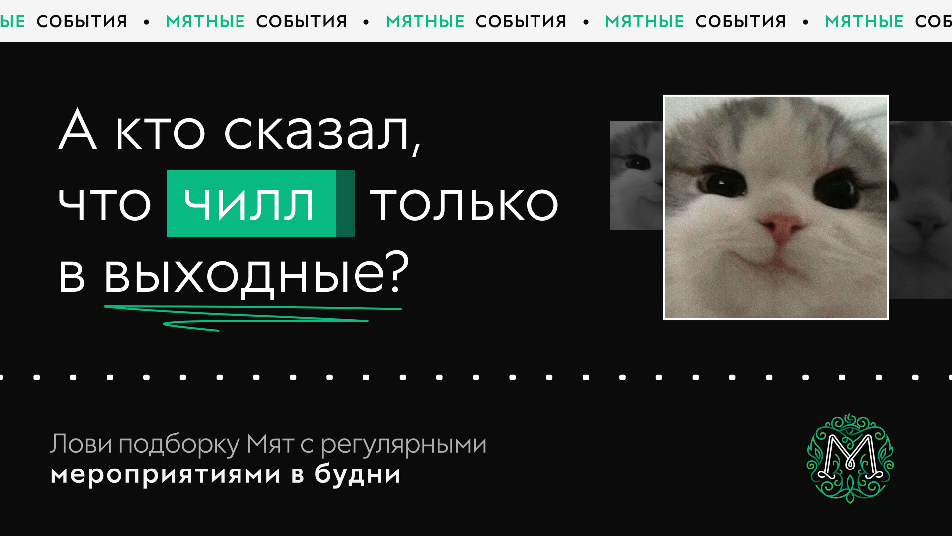 Мяты с регулярными мероприятиями в будни🗓