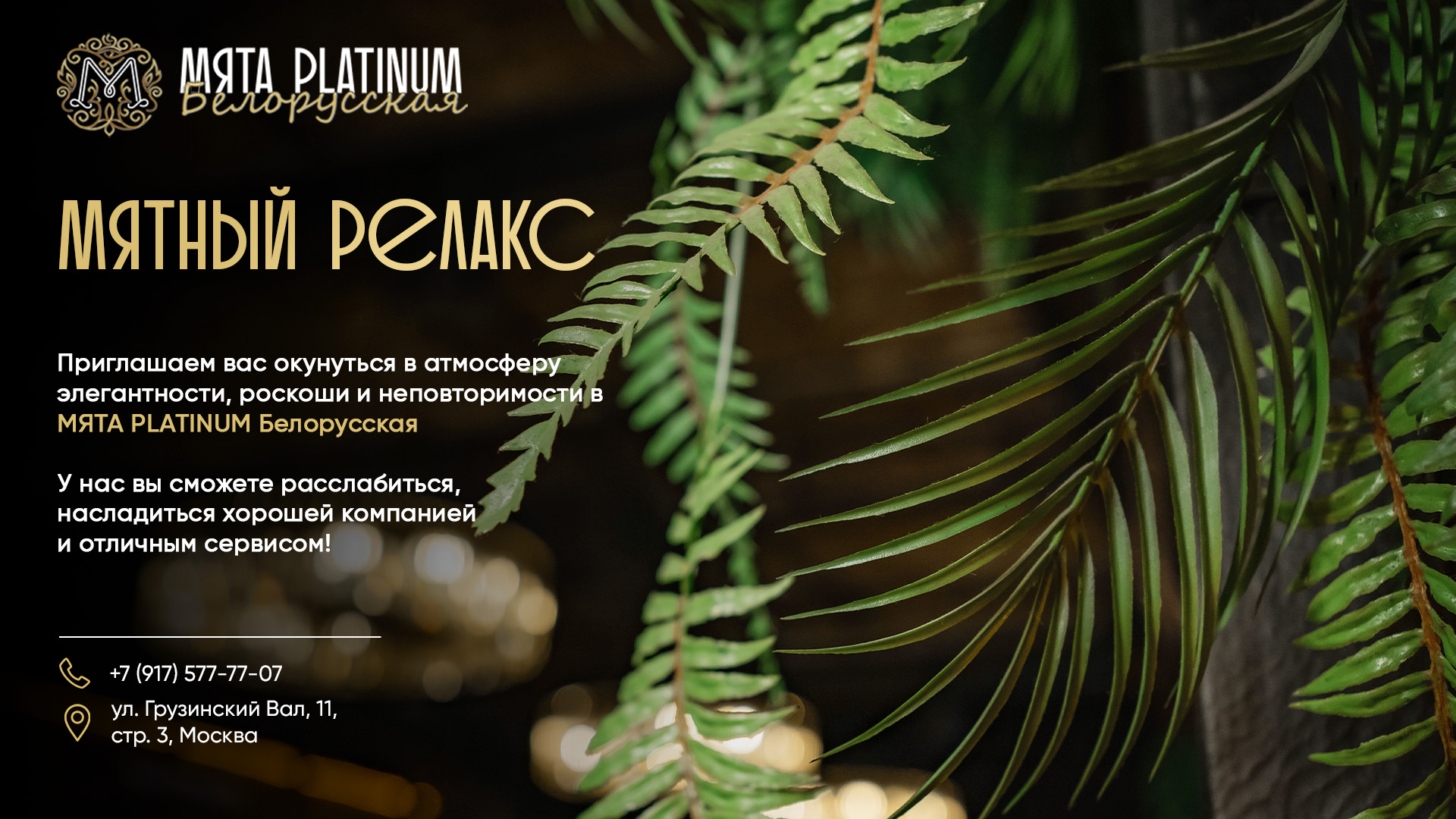 Уютный январь в Мяте Platinum на Белорусской!