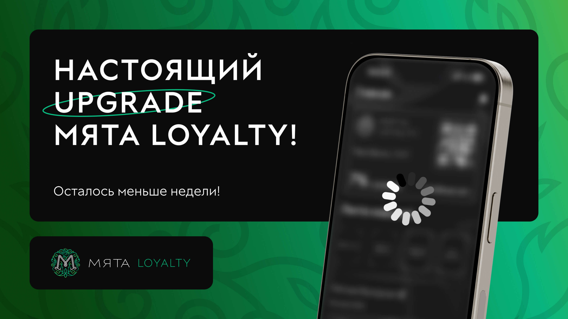 Настоящий Upgrade Мята Loyalty!