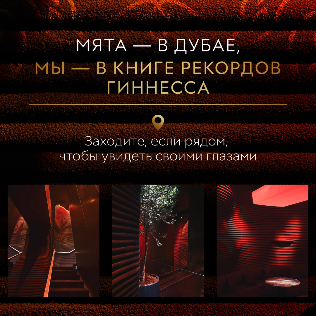 А вы уже слышали, что Мята установила новый рекорд книги Гиннесса?