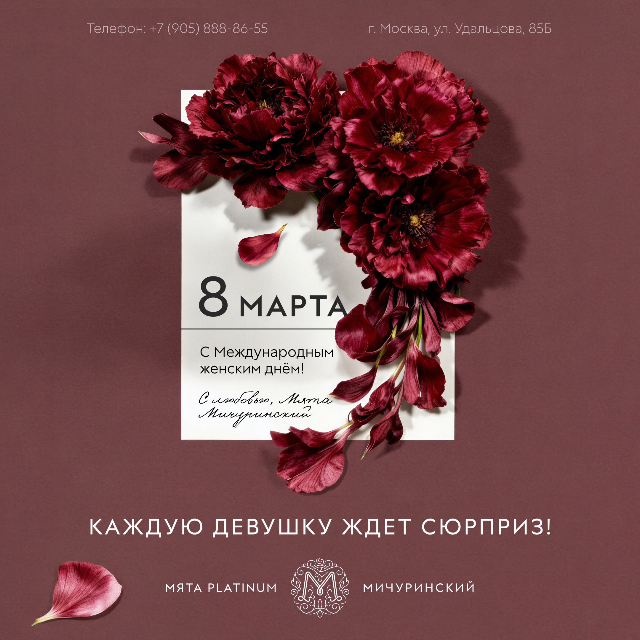 8 марта в Мята Platinum | Мичуринский