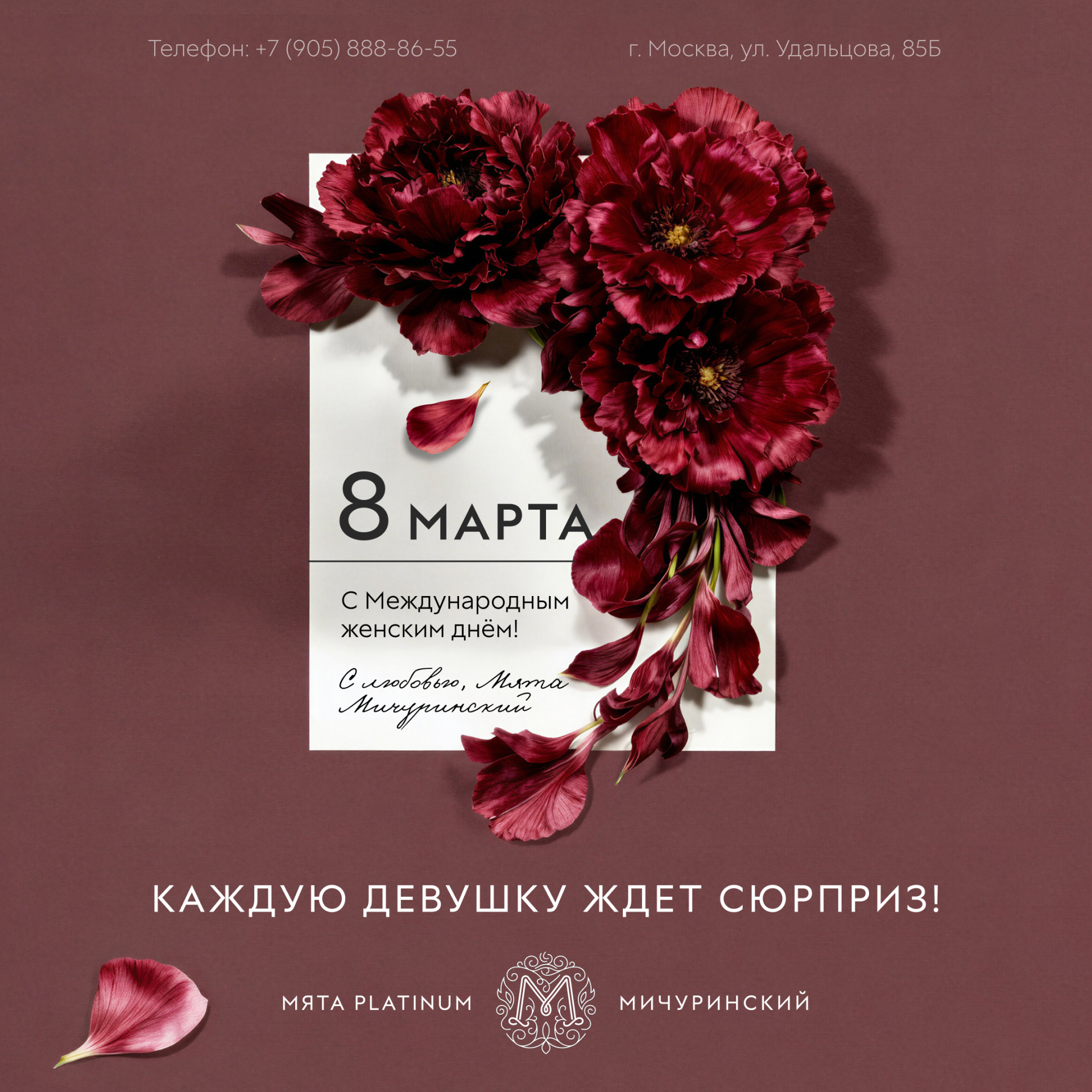 8 марта в Мята Platinum | Мичуринский