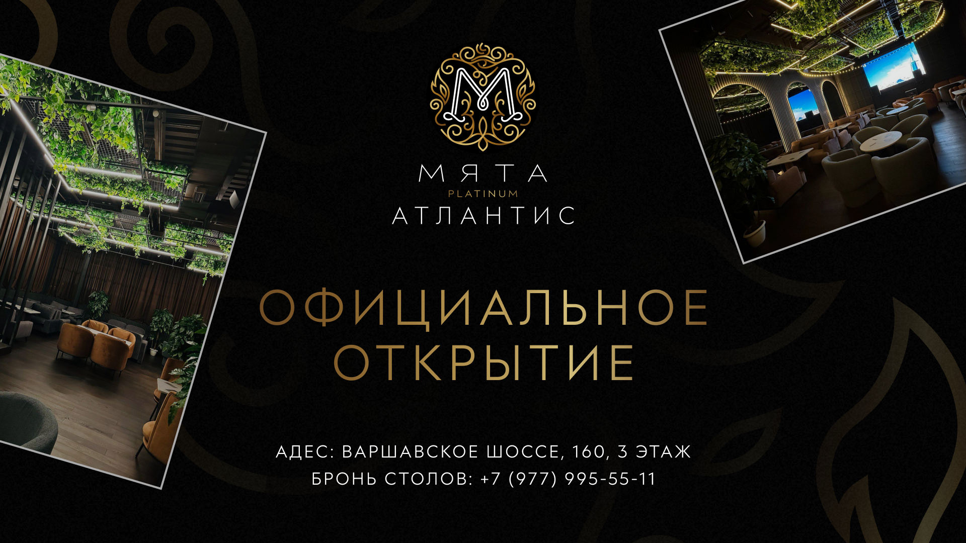 Официальное открытие Мята Platinum | Атлантис